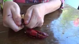 2015 Rosewood Crawfish Festival