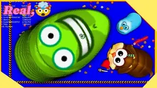Worm'szone io Magic Are they real or Fake 🤥 biggest record full watch #wormszone #gaming 