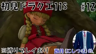 【初見ドラクエ11S / ネタバレ含む / #12 / 縛りプレイ中 / ケトス入手後～ / ※11はプレイ済み】アラサー会社員にしつきのゲーム配信