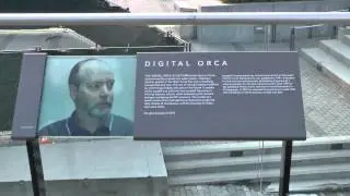 Digital Orca by Douglas Coupland 2