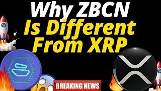 The Fuel Powering Zebec Network & Why Tokenomics Matter ZBCN COIN -NEWS