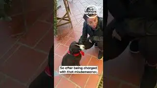 Family of Canadian Detained by ICE Speaks Out