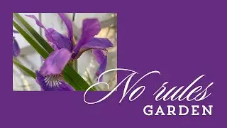 How to garden with limited space/ no rules/ Skinny garden beds #gardendesigner #flowers #plants
