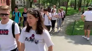 2019 Cogito Summer Prep Program