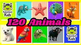Изучите 120 животных за 30 минут | Викторина с названиями, звуками и реальными видеоматериалами