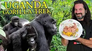 Eating with MOUNTAIN GORILLAS in Uganda!