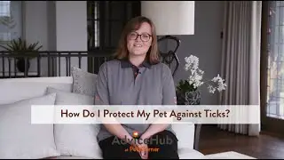 How Do I Protect my Pet Against Ticks