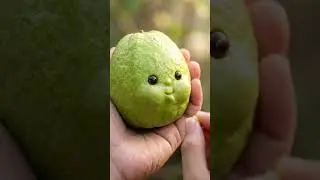 Soft bite , guava delight 🥹💚|| ASMR ||#viral #ai #asmr #trending #fruits #guava