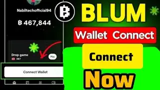 BLUM!!! Connect Wallet to Blum,Ton Wallet for Airdrop Withdrawal