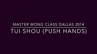 Tai chi WU Hao Tui Shou Push Hands in Dallas Texas 2014