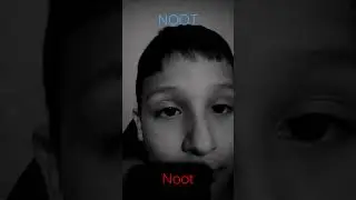 NOOT NOOT MEME@geleia0 @guimsda @problemsyt @Athosgamer @noodleandbun @Felky @FastToon11