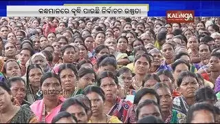 Odisha Elections 2019: Reaction of BJD workers and voters in  Kandhamal | Kalinga TV