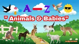 Animals and Their Babies A to Z | Bilingual English Telugu Kids Learning