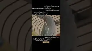 🥀🫠❤️&zwj;🩹 #quotesforyou #for_you_page #trendingshort #viralvideo #pageforyou #fypppppppppp