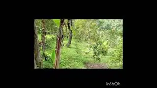 Land to sell in Cempaga Village