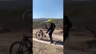 &iexcl;Al bosquecito! &iquest;Qu&eacute; puede pasar?