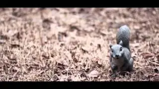 '' Vet '' - short film by. Prince Mackey
