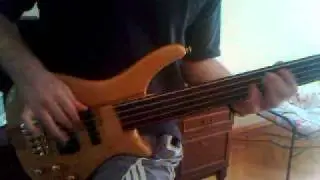 (Douglas WOB fretless bass )....