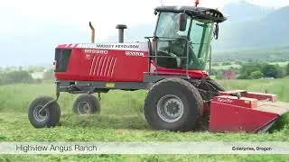 Haying season has started at Highview Angus Ranch (2023)