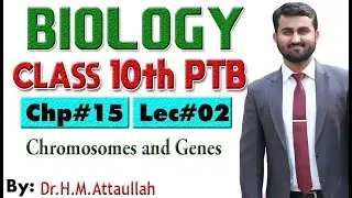 Chromosomes and genes | Chapter # 15 | Biology Class 10th | Lec# 02