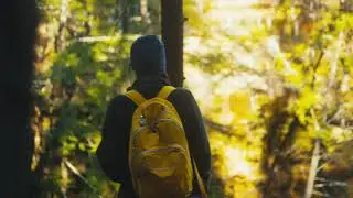 Cinematic Hiking B-roll #sonyalpha #sigmalens