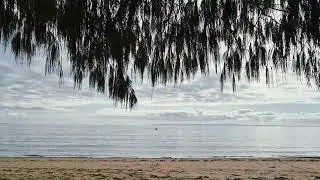 Queensland - Queens Beach North