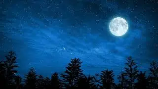 LoCraft - Unvexed Lofi Hip Hop
