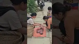 Go Pick Field Snails to Sell: The Hard Life of a Single Mother #villagelife #shortsviral