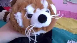 Drawing the Red Panda Webkinz