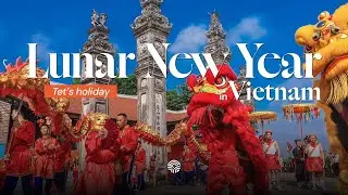 Lunar New Year in Vietnam (Tết)  | Traditions, Meaning & Travel Tips