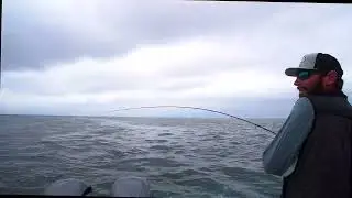 INSANE FOOTAGE! Fly Fishing for Tuna with schools of whales joining the party.
