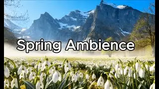Spring in the Mountains | Snowdrops, Mountains & Morning Mist | Relaxing Nature Sounds
