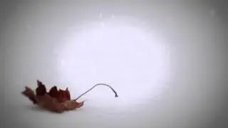 leaf in snow - looping background