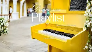Playlist💛 | Play the piano🎹  | 🎧 나른한 오후, 마음을 녹이는 Lo-fi 피아노 선율