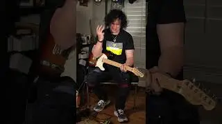Walrus Overdrive pedal sounds like an old projector. #Overdrive #Pedals
