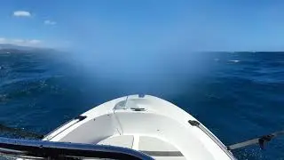 Smartwave SW4200 + Maercury 50CV 4T. Noum&eacute;a, Nouvelle Cal&eacute;donie. Premiere sortie!