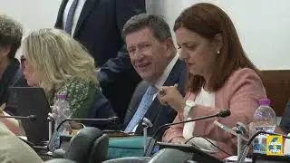 Zoom consiglio regionale 20 luglio 2025