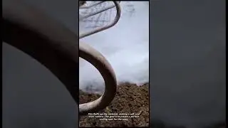 How Dairy Farmers Keep Their Cows Comfortable
