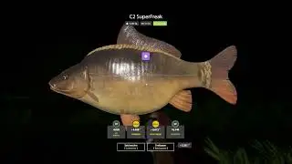 Russian Fishing 4  Kupfersee C2 Spot