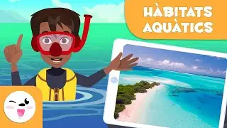 Descobreix els h&agrave;bitats aqu&agrave;tics - Tipus d'h&agrave;bitats per a nens en catal&agrave;