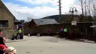 2015-03-28 Gr&uuml;nhain Klostermauer