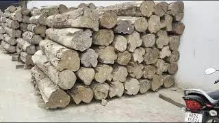 100% Real Teak wood, Sagwan Wood largest wholesaler in Sirsa Haryana - Jagdev Saw Mill, Sirsa
