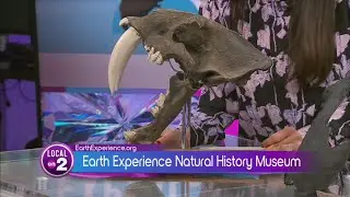 Earth Experience Natural History Museum: Bringing dinosaurs to life!