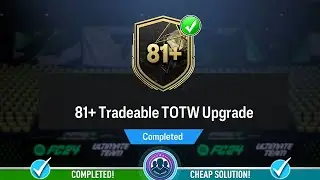 81+ Tradeable TOTW Upgrade Pack Opened! - Cheap Solution & SBC Tips - FC 24