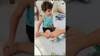 Sarp ve Dinozorlar