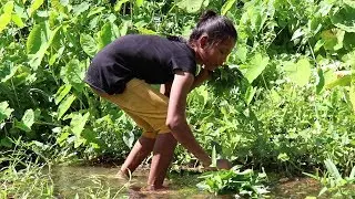 My Natural Food: Finding and Cooking natural water spinach for eating delicious #10