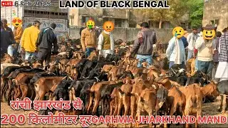 ||GARHWA BIGGEST MANDI IN JHARKHAND MARKET||GOATS FARMING CUTTING GOAT LIVE UPDATE||