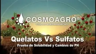 Demostración técnica de Quelatos Cosmoagro