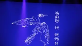 Caught In Entropy - Relentless Live @Effenaar.Eindhoven  04-06-2023