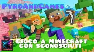 Ho giocato a Minecraft con persone che non conosco
